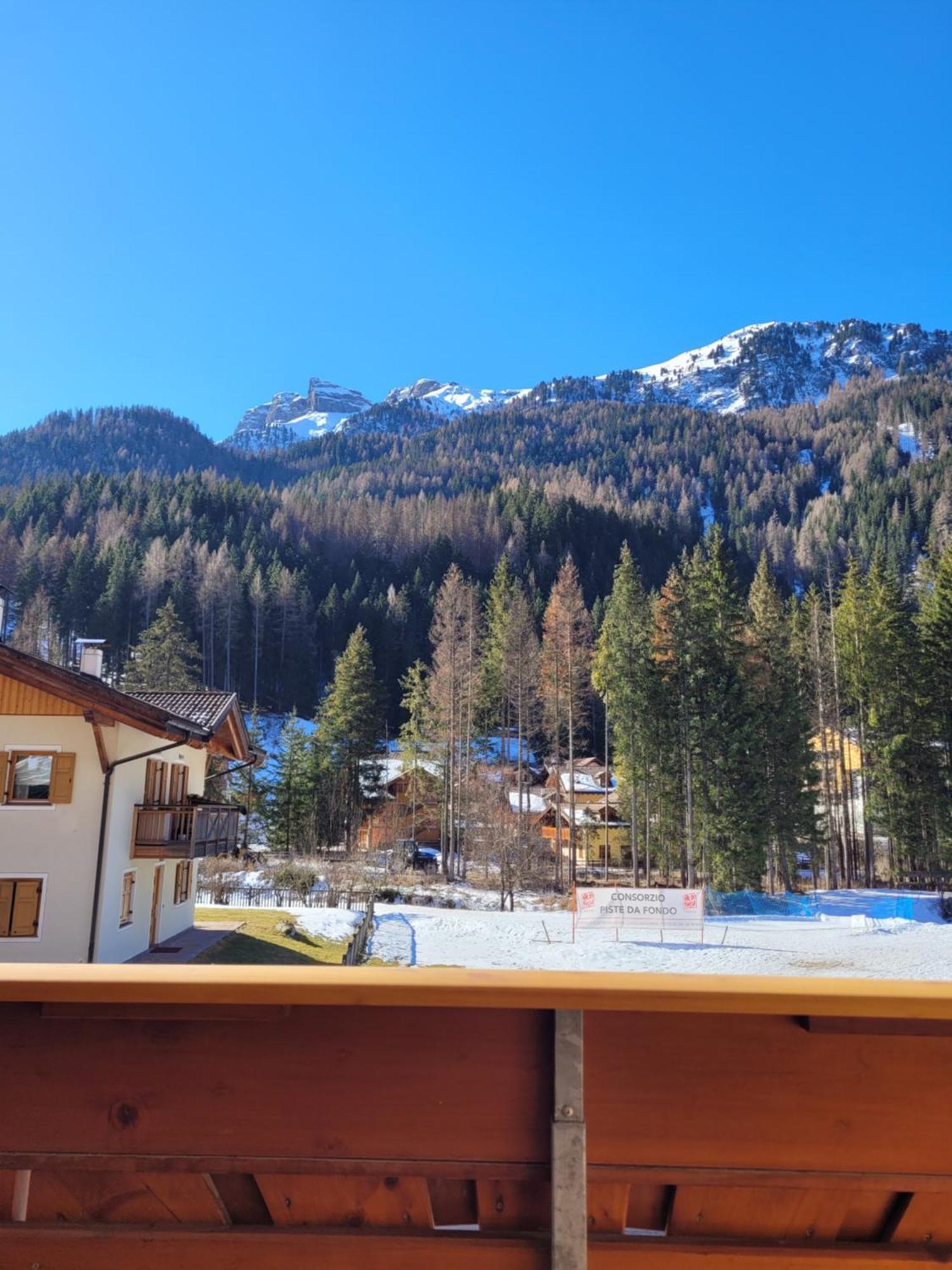 Guest house Garni Mozart Nesthouse 3*